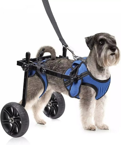 Used adjustable small dog - used,