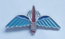 PARACOMMANDO LAPEL PIN OR WALKING STICK MOUNT