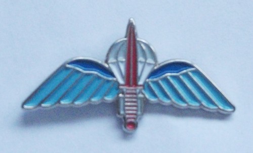 Paracommando lapel pin - paracommando,