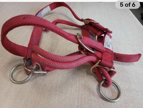 Monty roberts dually head - monty,