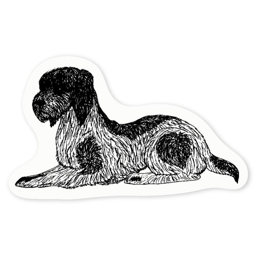 Italian spinone clear - 'italian, spinone'