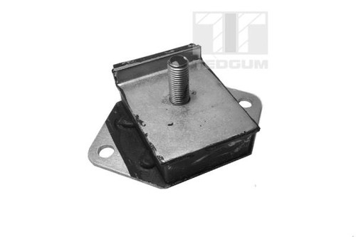 Mounting engine tedgum - engine,