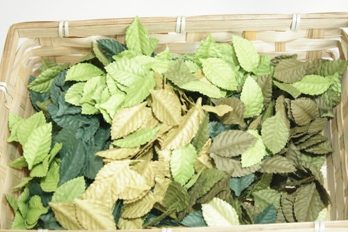 50x green mix leaves - 50x,