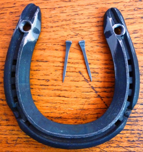 Real horseshoe holes horse - real,