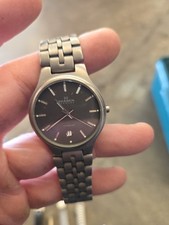 Skagen Titanium Wristwatch