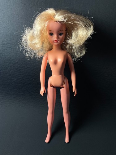 Pedigree sindy ash - pedigree, blonde