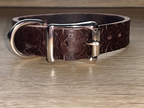 Brown dog collar celtic - brown,
