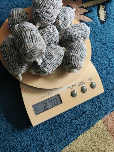 Xxl filled tied carp bait - xxl,