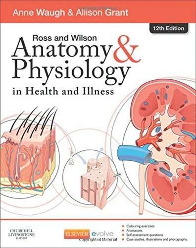 Ross and wilson anatomy - ross,