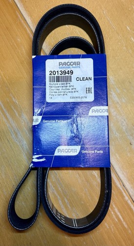 Genuine daf belt n 2013949 - v, p/n