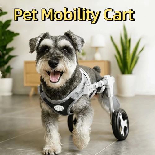 Wheel mobility dog - 2/4,