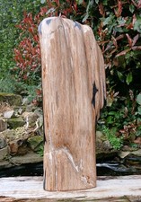 Large Petrified Fossil Wood