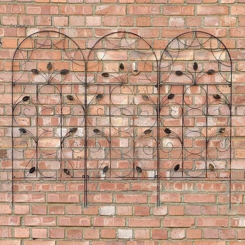 Metal trellis garden plant - trellis,