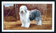 OLD ENGLISH SHEEPDOG  Bobtail   Vintage 1936 Illustrated Card  LE02M