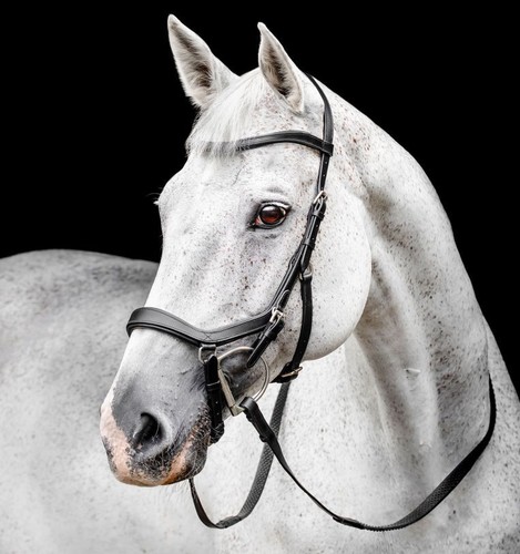 Horseware micklem competition - horseware,