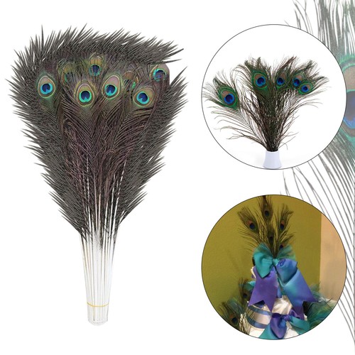 Natural peacock tail - natural,