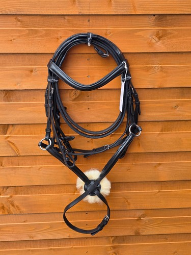 Premium black mexican grackle - premium,