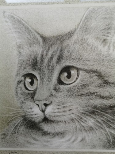 Framed cat print - by, willis