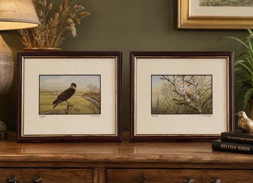 Pair john dolton - pair, wildlife