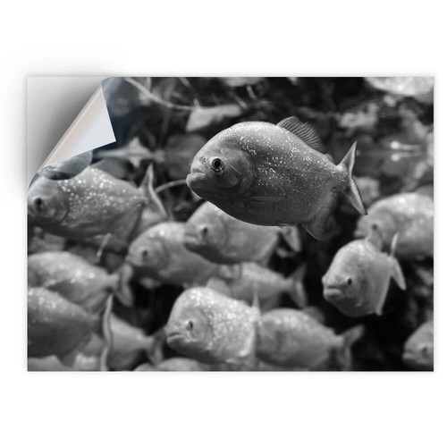 Vinyl sticker bw - -,