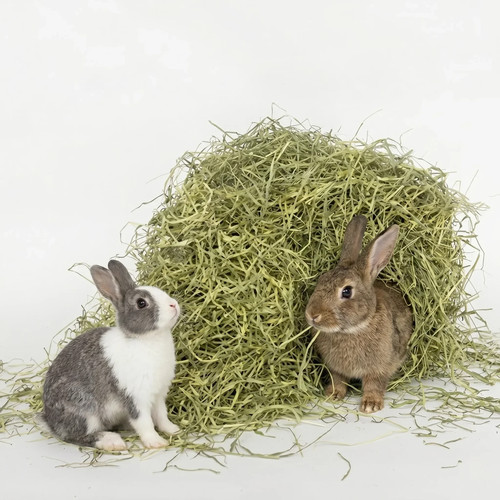 Timothy hay for - timothy, rabbits