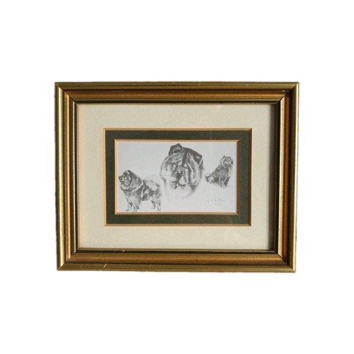 Chow dog framed - framed, print