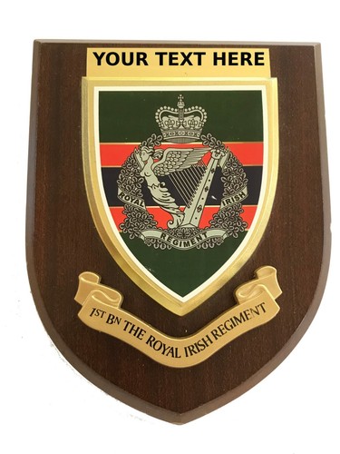 1st royal irish regiment - irish,