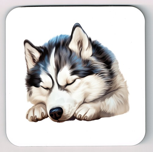 Sleeping laying down siberian - laying,