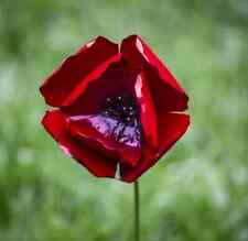 Handcrafted Metal Outdoor Poppy. Remembrance Poppy. Outdoor Flower. Poppy Sculp