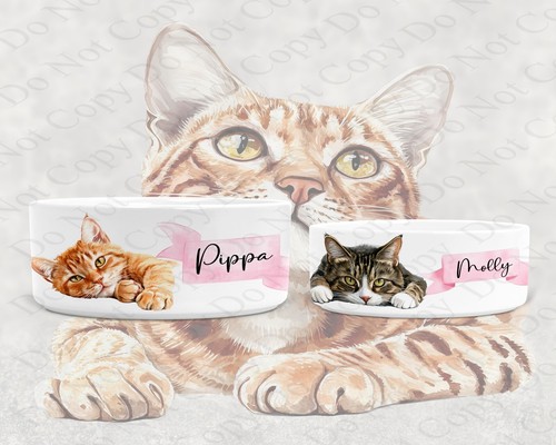 Personalised ceramic cat bowl - personalised,