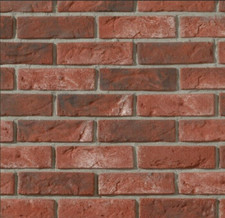 SAMPLE of CAMBRIDGE RED