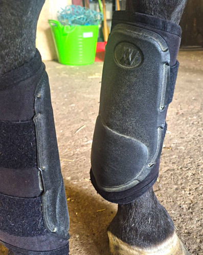 Horse tendon fetlock boots - horse, tendon/fetlock