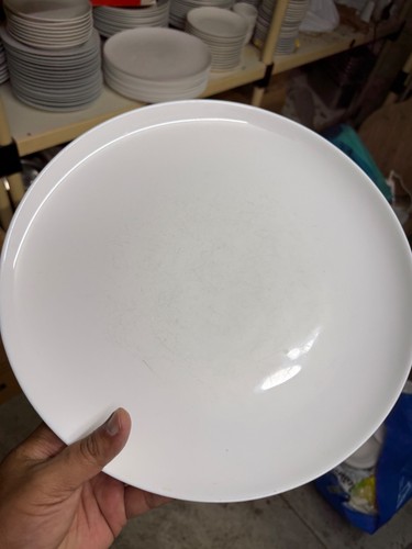 Pure white pizza plate - white,