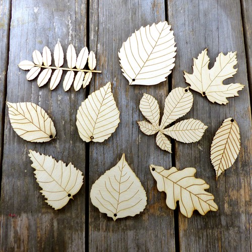 Mixed wooden leaves with - 10,