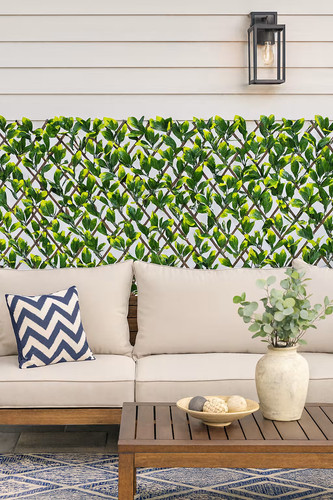 Laurel willow expandable - willow,