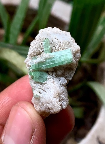 Gram natural paraiba - natural, colour