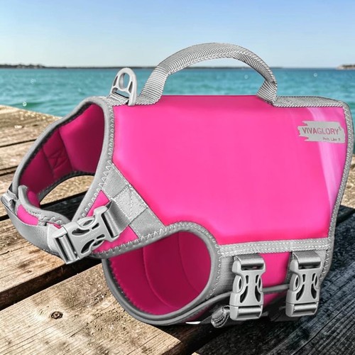 Dog life jacket - life, swimming