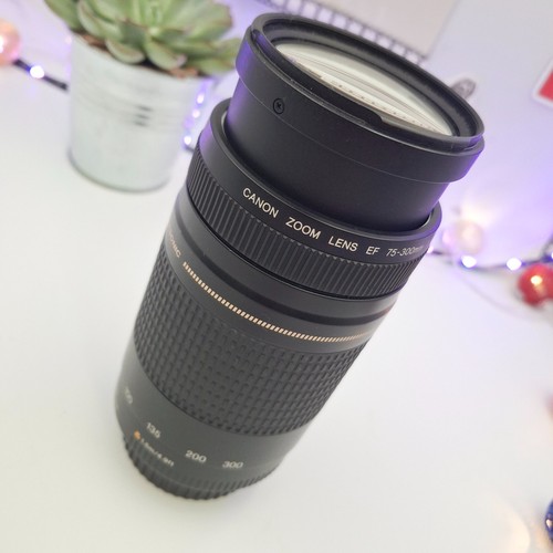 Canon zoom lens 300mm - lens, ef