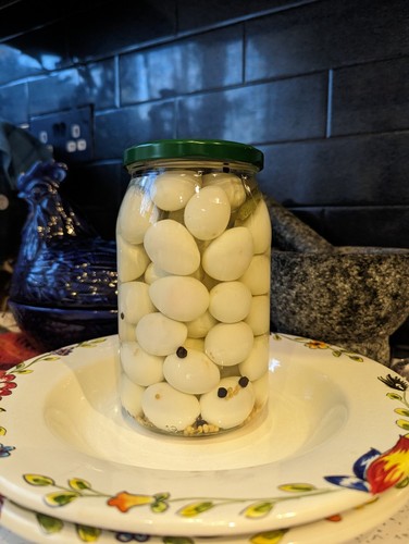 British quail eggs - pickled, in