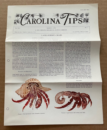 Vintage carolina tips - vintage, brochure