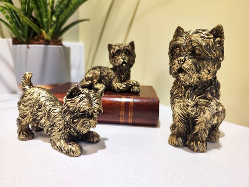 West highland terrier dog - west,