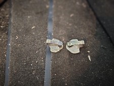 Escort mk4 rs turbo xr3i bonus