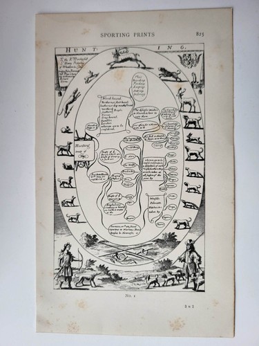 Antique print 1896 sporting - print,