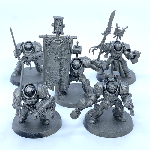 Grey knights paladins - knights,