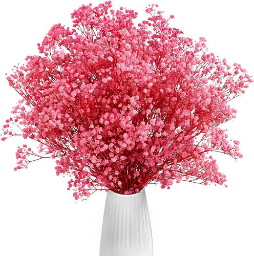 Dried baby breath flowers - dried,