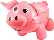 Inflatable Pink Pig for