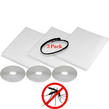 3 Large White Window Insect