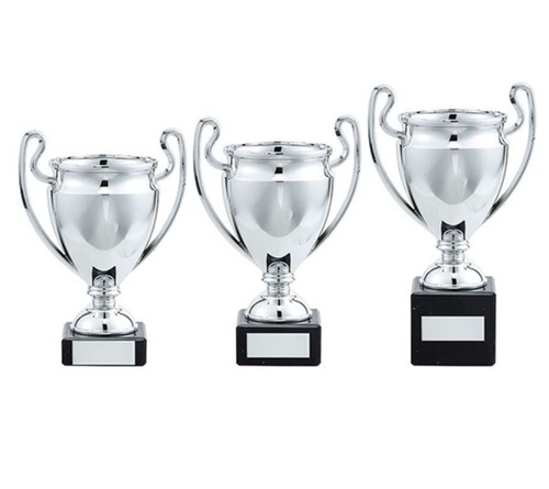 Silver trophy cup free - trophy,