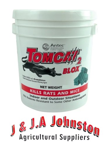 Tomcat rat poison - rat,