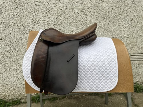 Gfs wide show saddle - gfs,